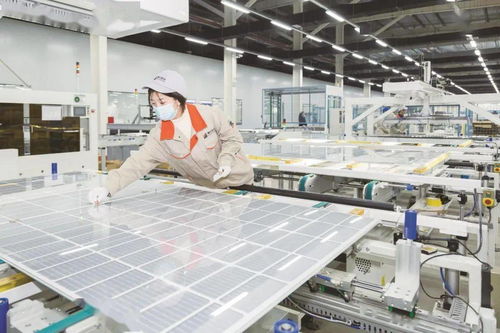 乘兩會(huì)東風(fēng) 以營(yíng)商沃土育新能之苗